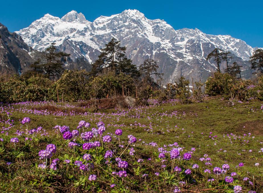 Lachen and lachung